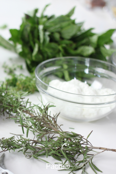 Green Olive & Pimento Lowfat Yogurt Spread